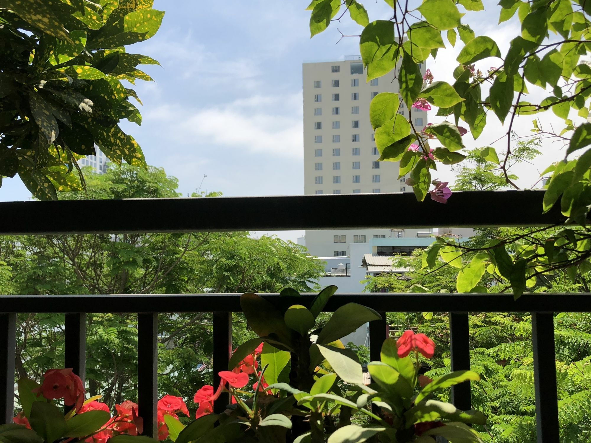 Van'S Homestay 岘港 外观 照片